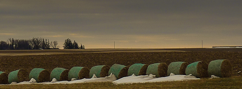 March snow bales